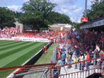 Cottbus-Fans