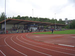 Tribüne