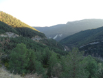 (Bild)