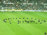 (Bild)