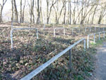 (Bild)